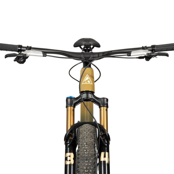 Forbidden 2026 Forbidden Reya T1