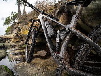 Forbidden launches the Reya!