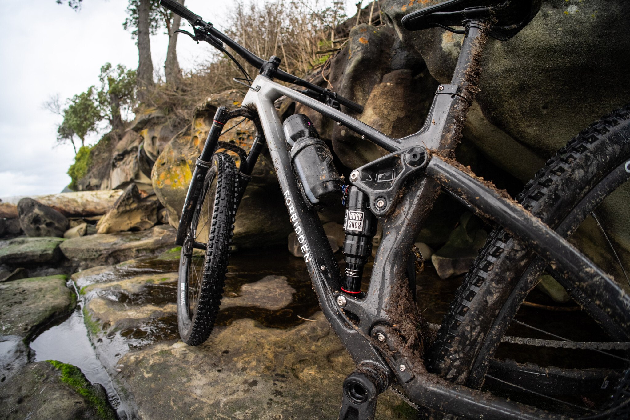 Forbidden launches the Reya!