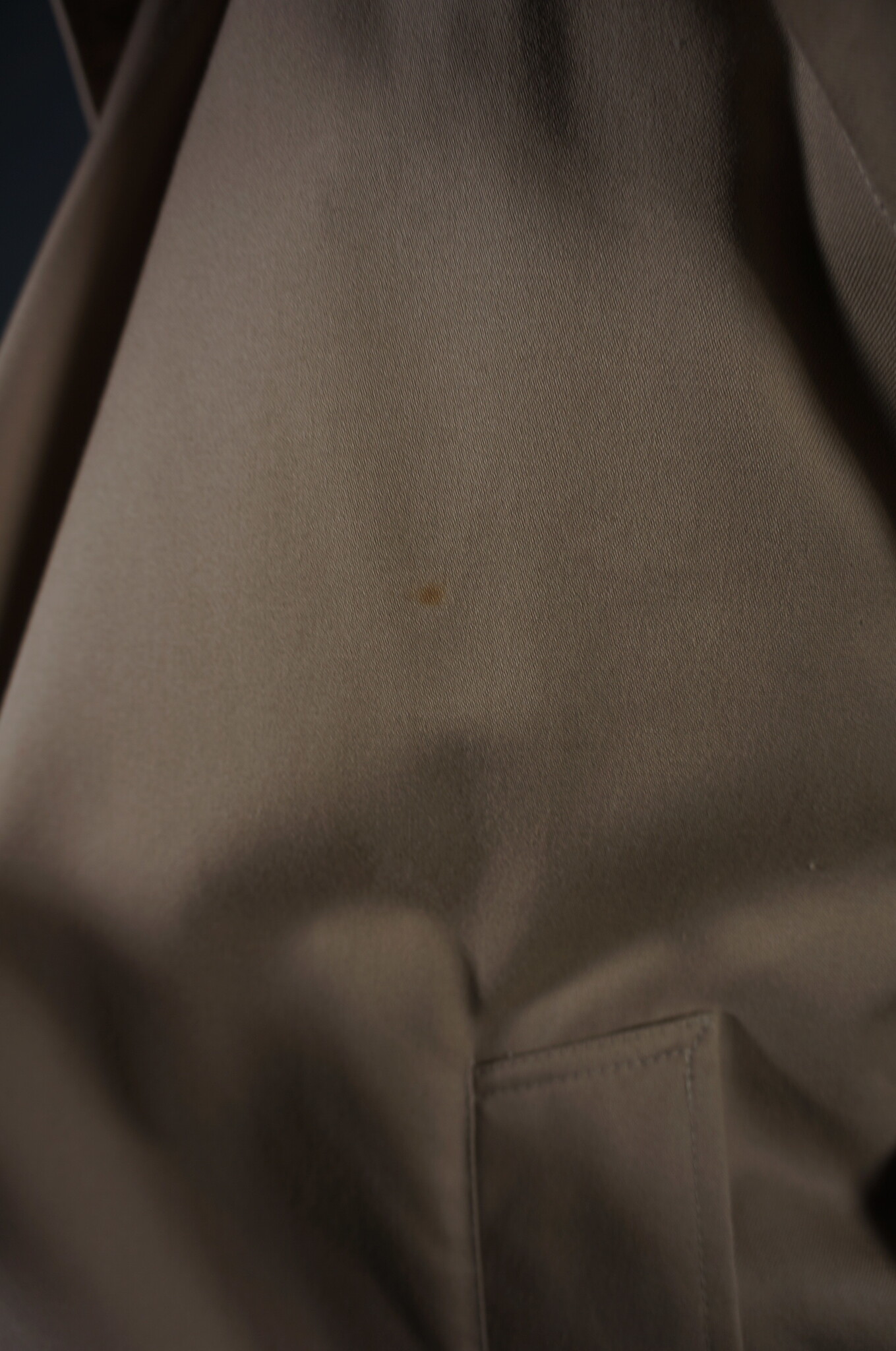 Burberry Beige Trench Coat — L / 117 cm