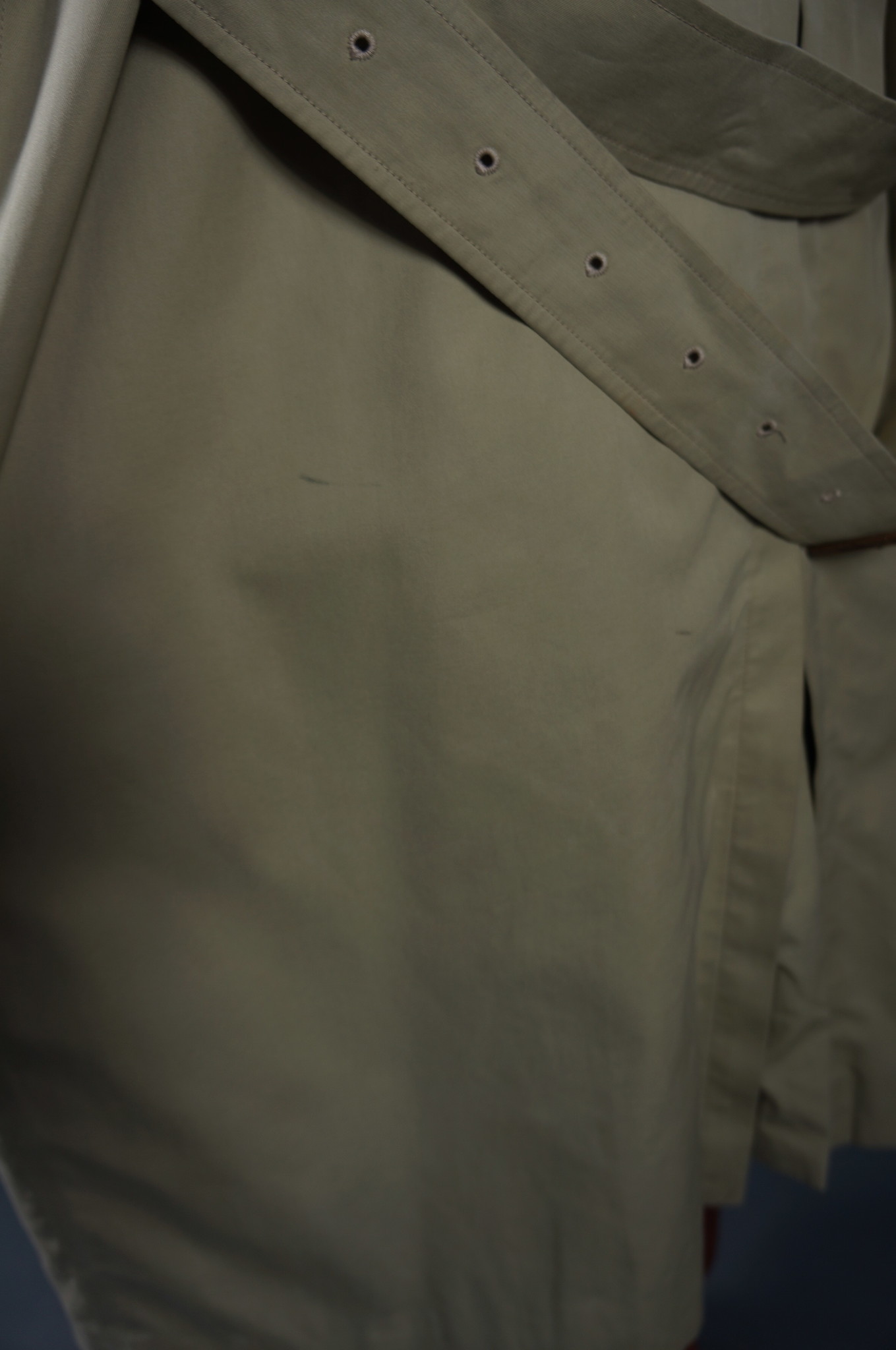Burberry Trench Coat #4