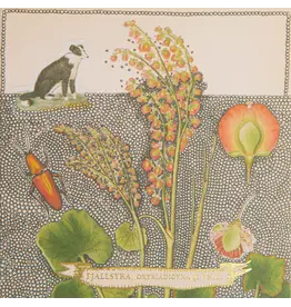 CHIEN BOTANICAL LUCIFERS