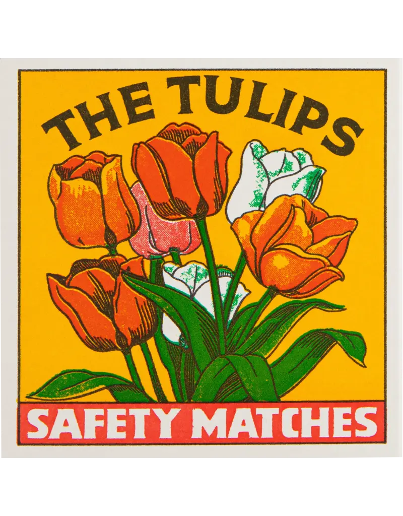 THE TULIPS LUCIFERS