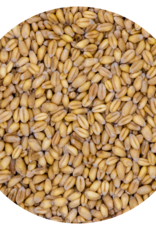 VDC VDC Wheat - Pigeon