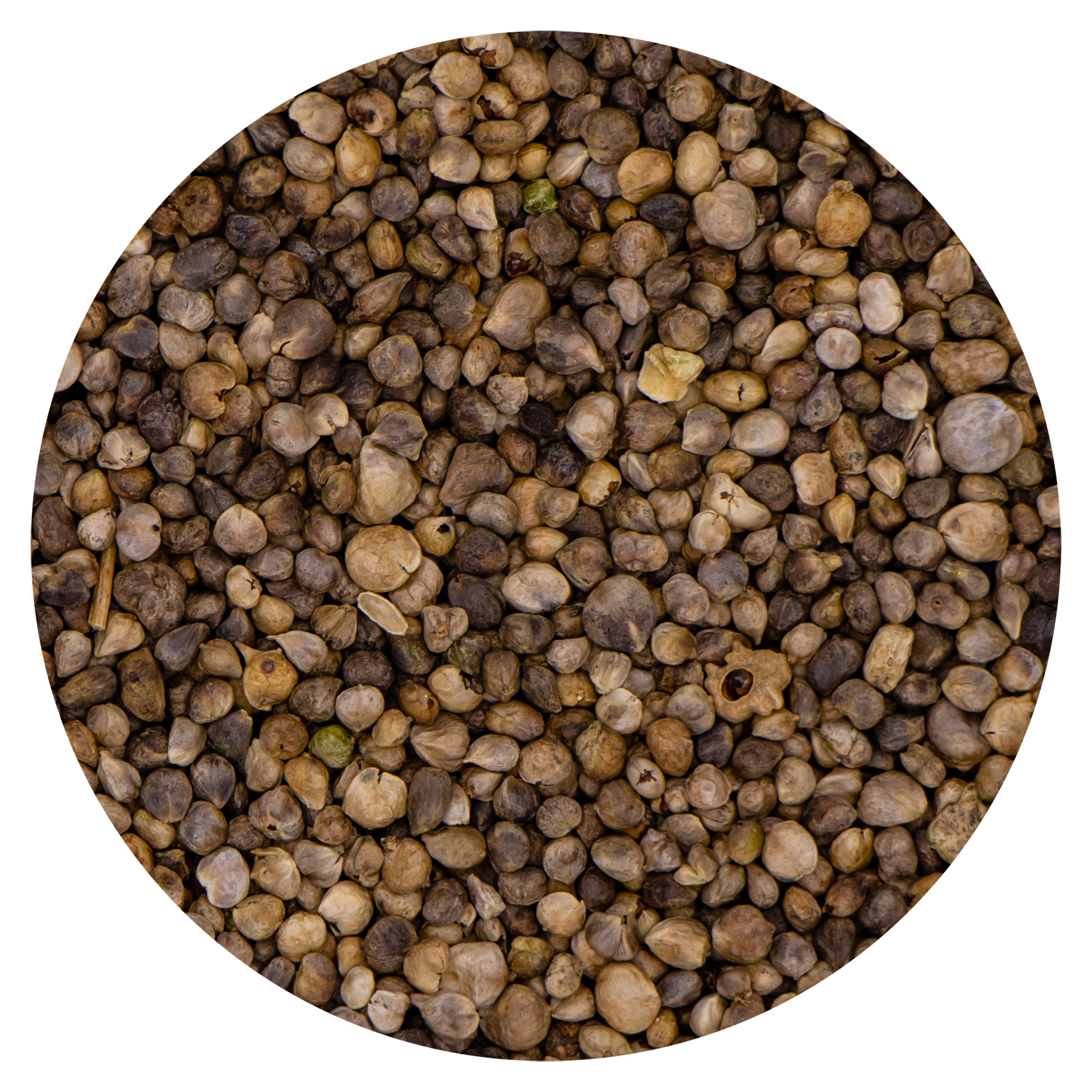 VDC VDC Spinacheseeds