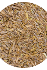 Grass seeds Rapide