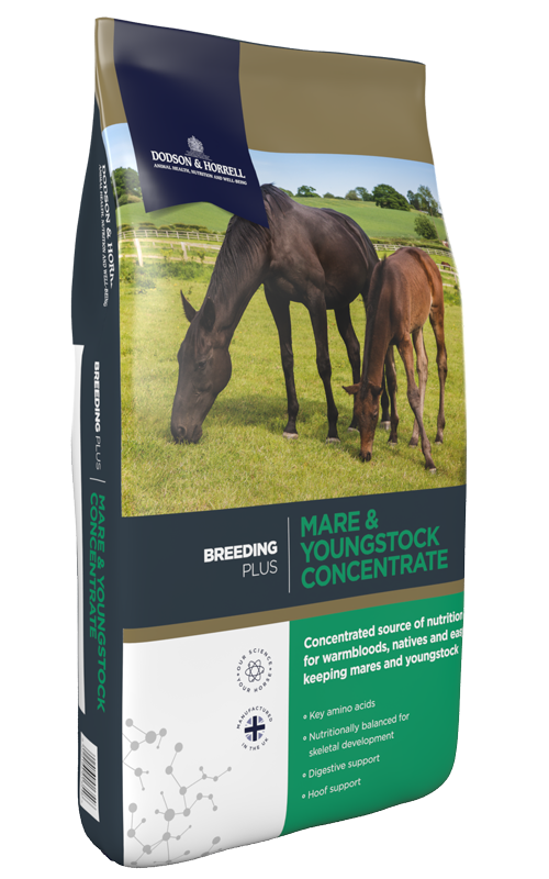 Dodson & Horrell Dodson & Horrell Mare & Youngstock Concentrate 20kg