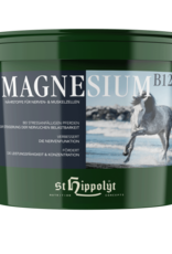 St-Hippolyt St-Hippolyt Magnesium B12