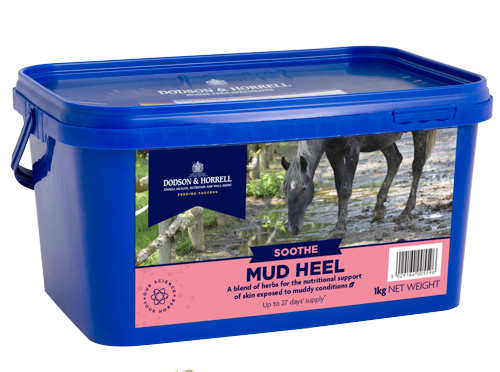 Dodson & Horrell Dodson & Horrell Mud Heel