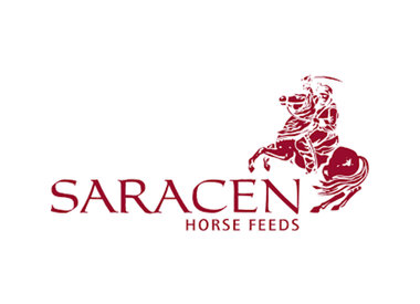 Saracen