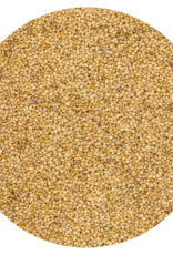 VDC VDC Panicum yellow