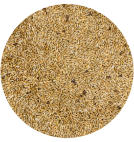 VDC VDC Canaryseed