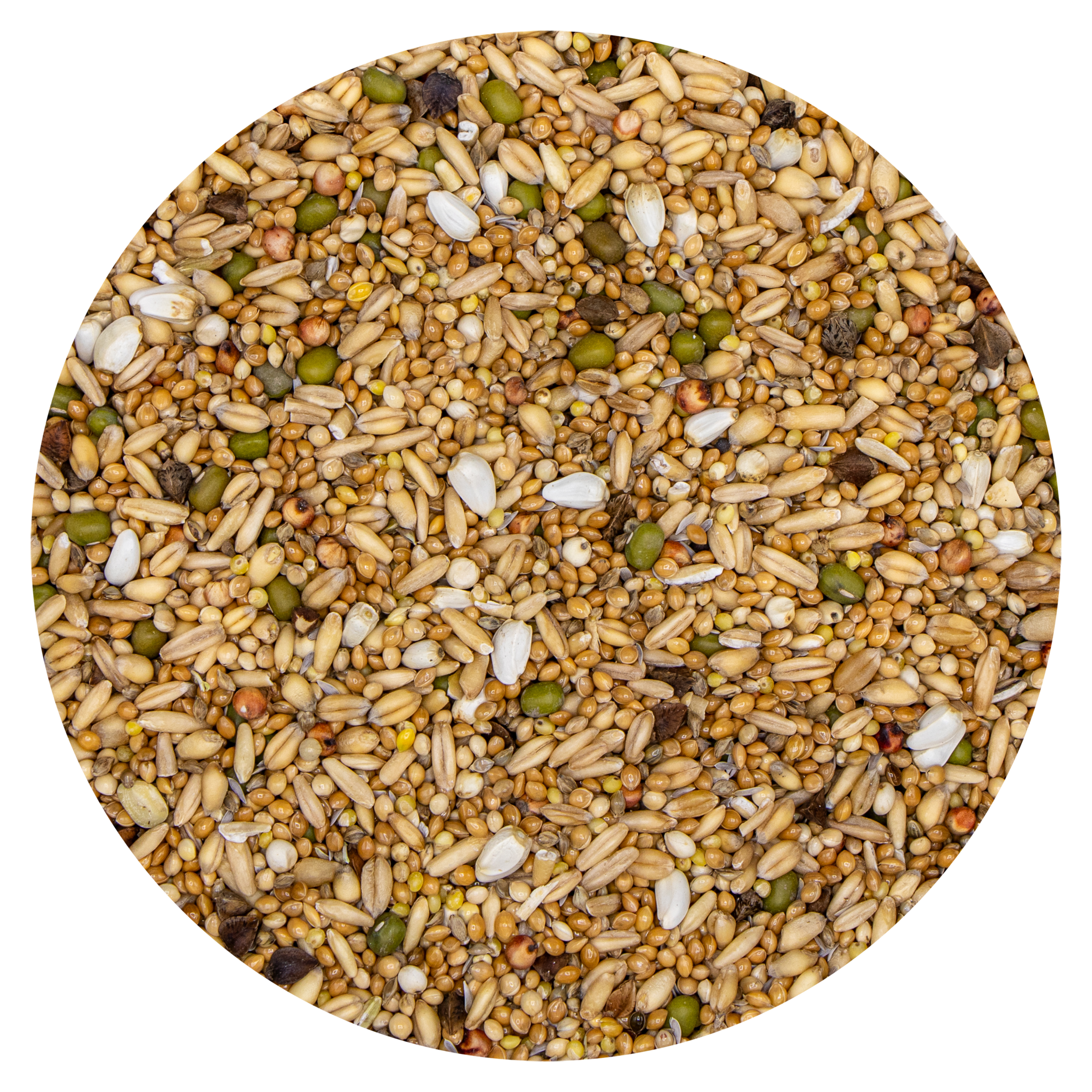 VDC VDC Germination seeds Parakeets 28