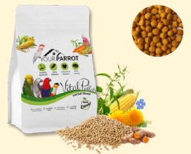 Your Parrot Your Parrot Herbal Blend