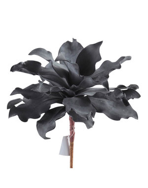 Villa Pottery  Bloem Chantal 1-6 Black