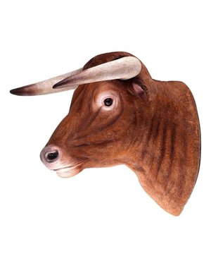 Decopots - Villa Pottery Stierenkop Wanddecoratie -Stier - Bruin