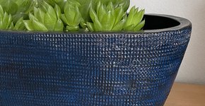 Hoe groot moet een bloempot zijn?