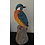 Villa Pottery  IJsvogel 11x10x28 staand