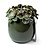 Villa Pottery  Groene bloemenvaas Jolie