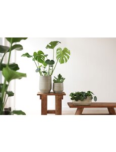 HS Potterie Delhi Pot Groen