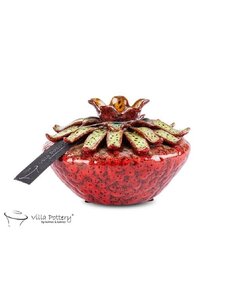 Villa Pottery  Larissa Vaas Rood
