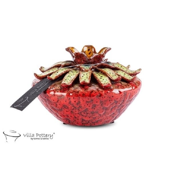 Villa Pottery  Larissa Vaas Rood