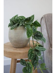 HS Potterie Taupe Pot Tokio