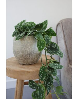 HS Potterie Taupe Pot Tokio