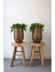 HS Potterie Osaka Pot Goud