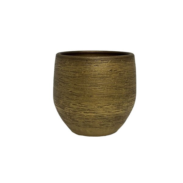 HS Potterie Osaka Pot Goud