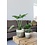 HS Potterie Atlanta Groen