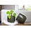 HS Potterie Groen Pot Dallas