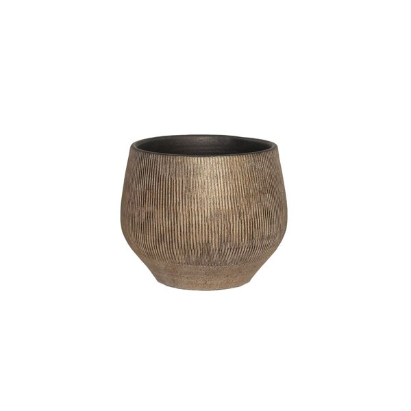 HS Potterie Hamar Zwart Goud