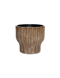 HS Potterie Vigo Bruin