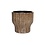 HS Potterie Vigo Bruin