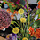 Silk Flowery Luxe zijden boeket Field Breeze – kleurrijk veldboeket