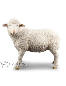 Villa Pottery  Schaap