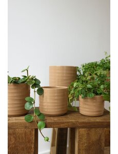 HS Potterie Bruine Pot Berlin