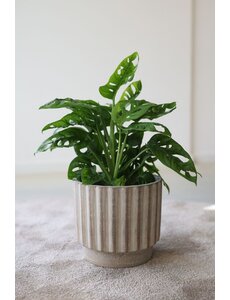 HS Potterie Narvik Bruin pot