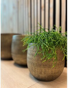 HS Potterie Bloempot Miami Goud