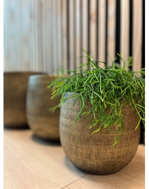 HS Potterie Bloempot Miami Goud