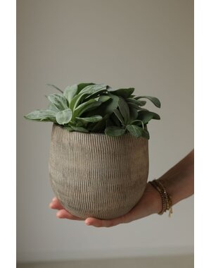 HS Potterie Bloempot Miami Grijs Bruin