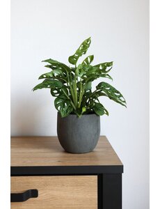 HS Potterie Pot Avion Antraciet