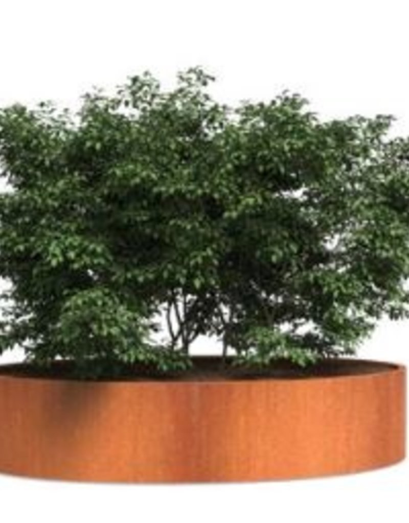 Cortenstaal Plantenbak Ovaal/Ellips