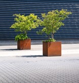 Cortenstaal Plantenbak (Vierkant / Rechthoek) met wielen