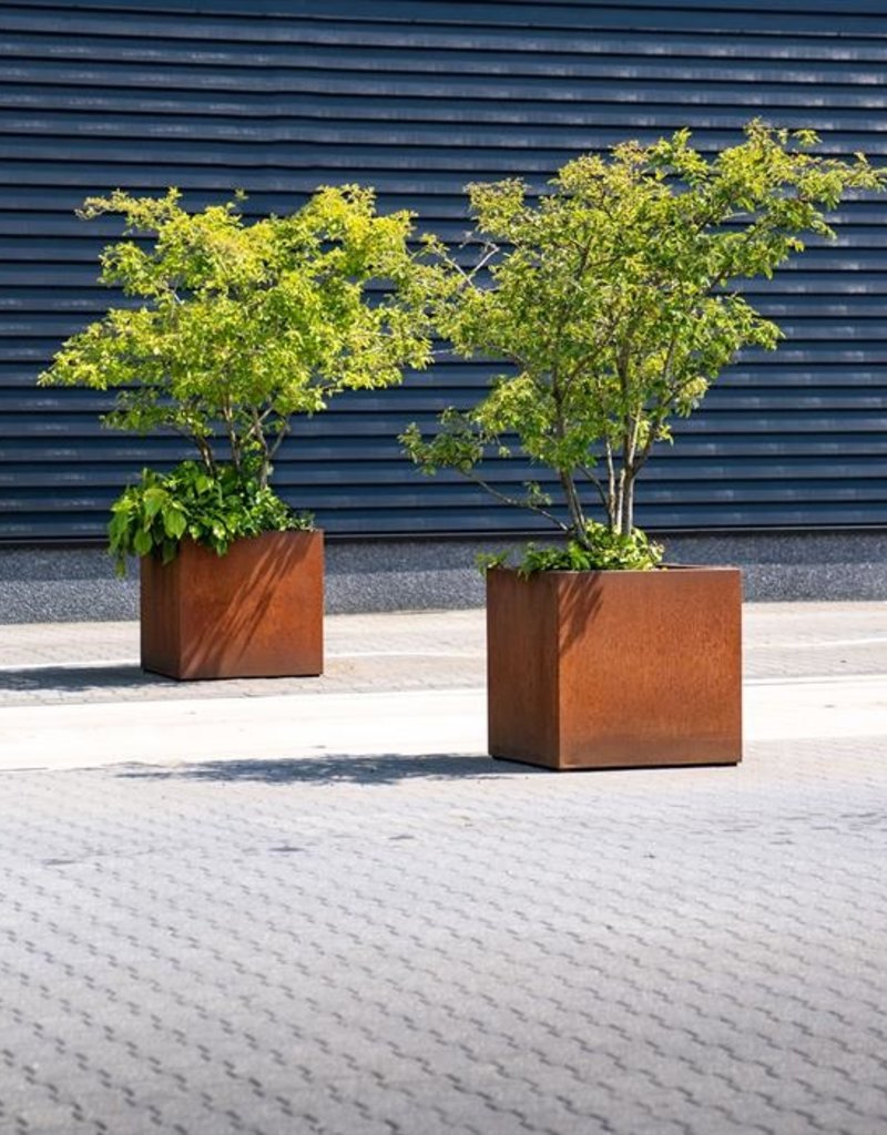 Cortenstaal Plantenbak (Vierkant / Rechthoek) met wielen