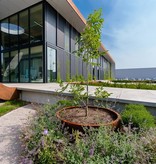 Cortenstaal Plantenbak/Moestuinbak Rond Zonder Bodem