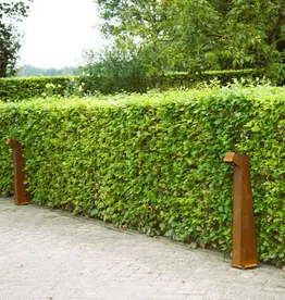 Cortenstaal Tuin- en Buiten verlichting staand