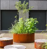 Cortenstaal Plantenbak met wielen