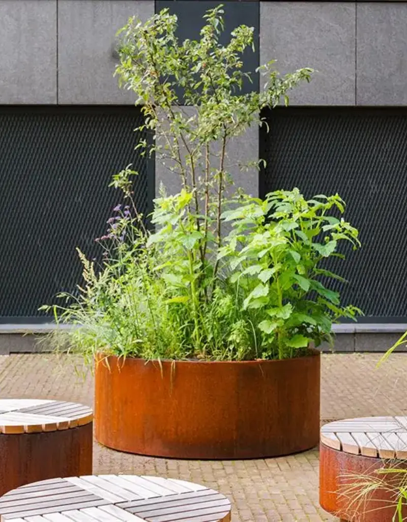 Cortenstaal Plantenbak met wielen